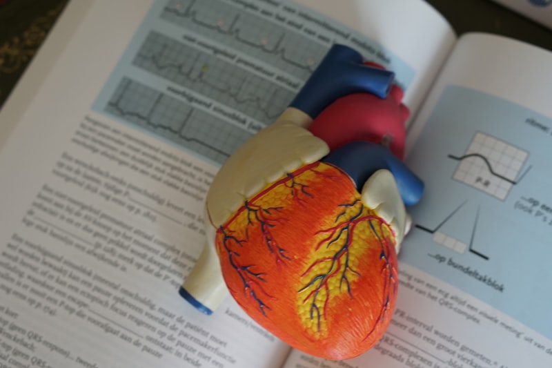 Understanding Your Calcium Score: What the Numbers Mean